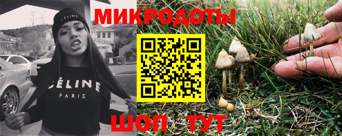 Галлюциногенные грибы ЛСД  Вход с VPN  Петровск 